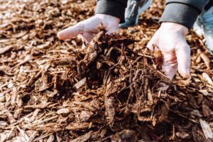 Cedar Mulch: The Natural Wonder for Your Gardens Success