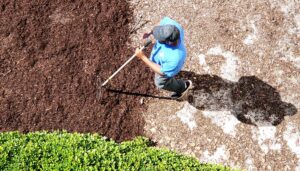 Discover the Magic of Dyed Mulch from McGirt Supply Yard