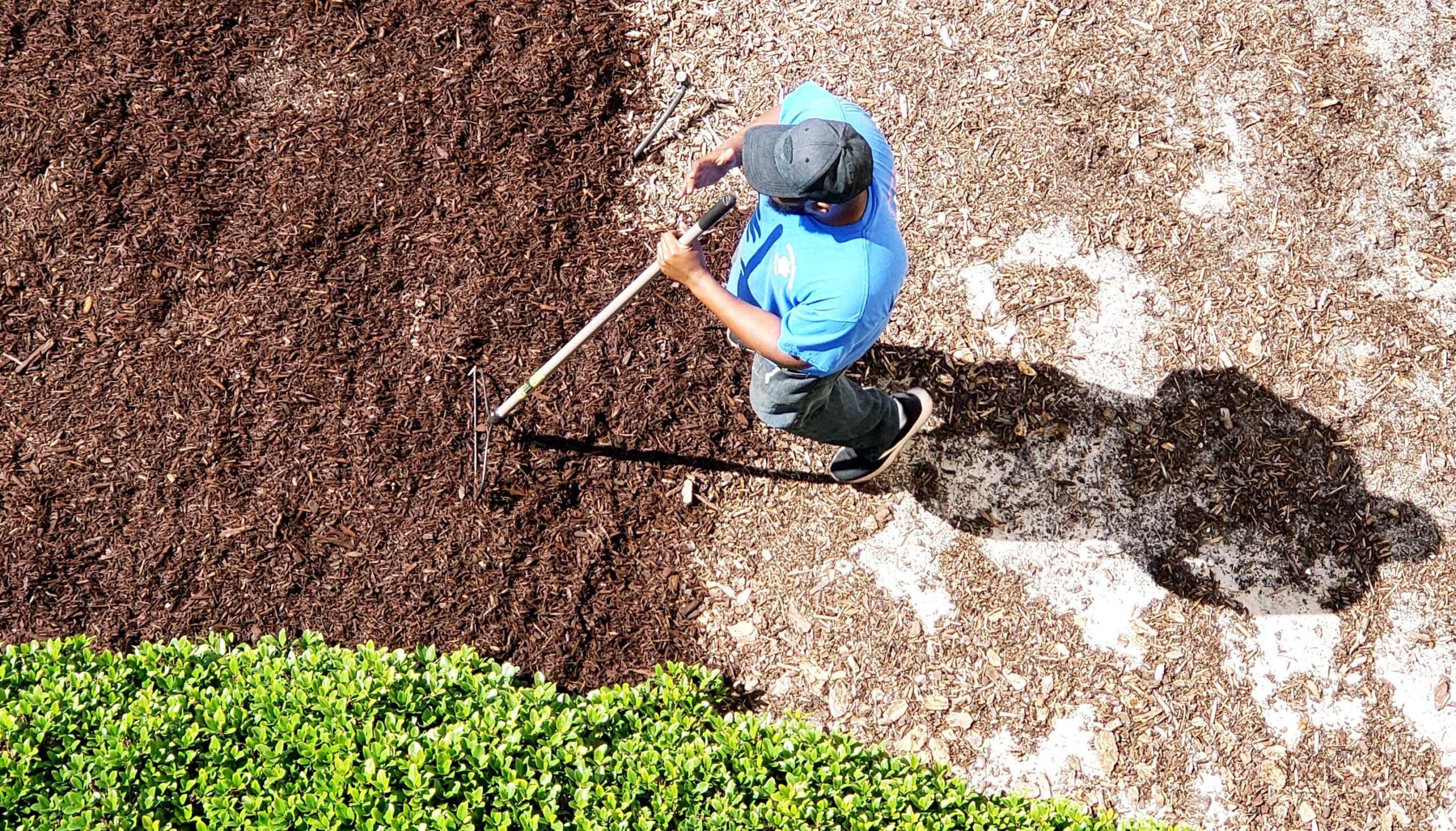 Discover the Magic of Dyed Mulch from McGirt Supply Yard