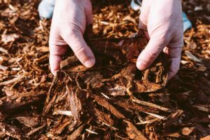 Playground Mulch: The Ultimate Guide to Ensuring Safety and Fu