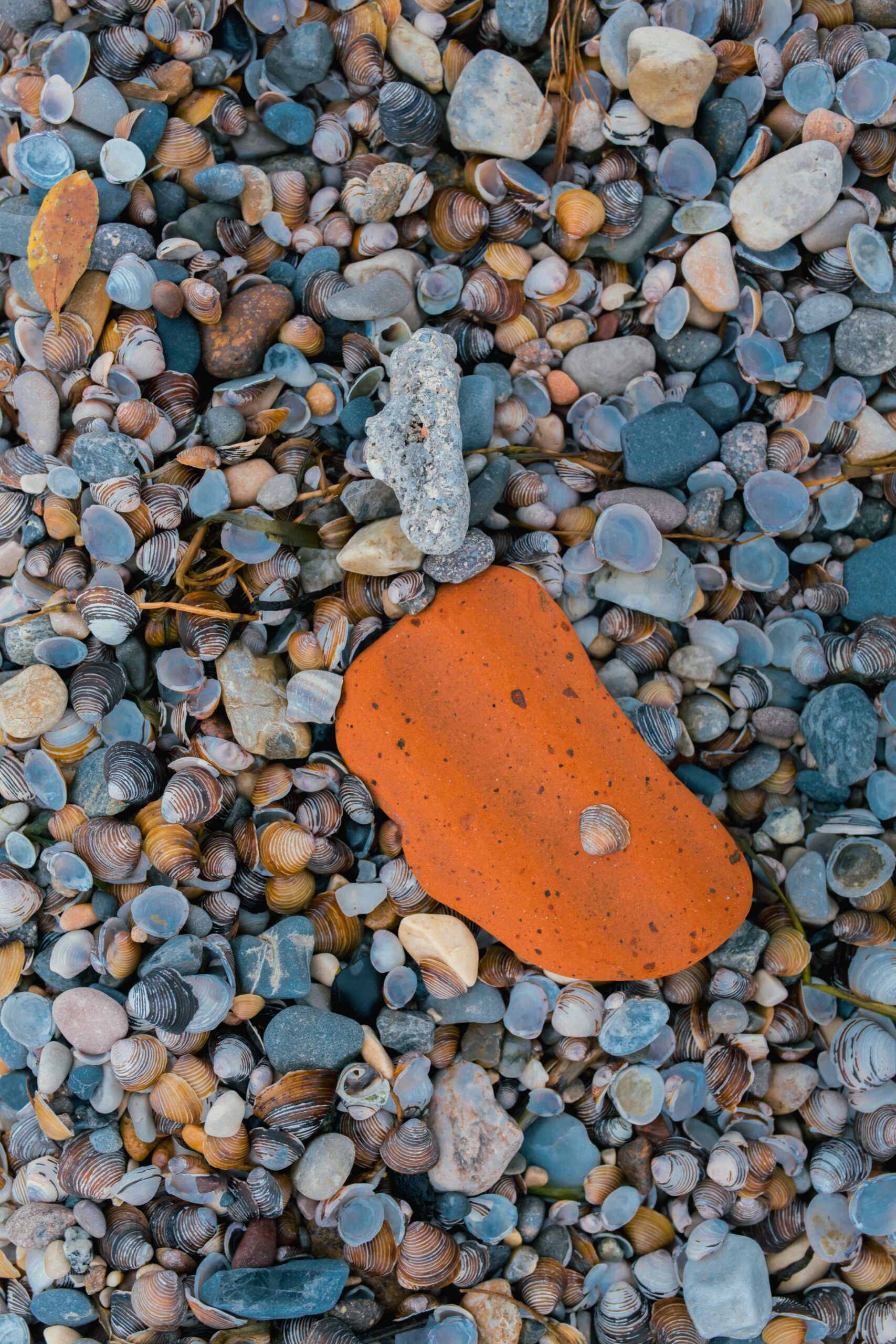 Unveiling the Beauty: Unearth the Wonders of Virginia River Rock